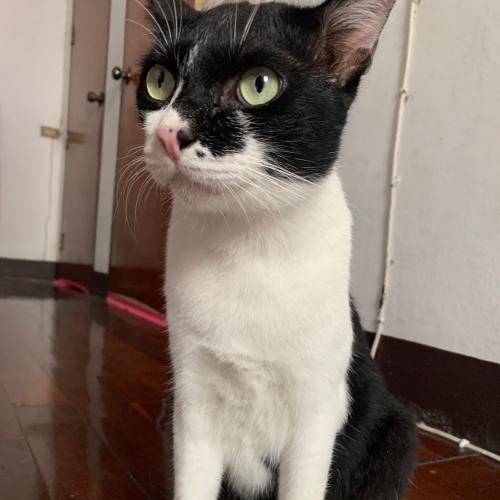 สมาชิกหมายเลข 3237467