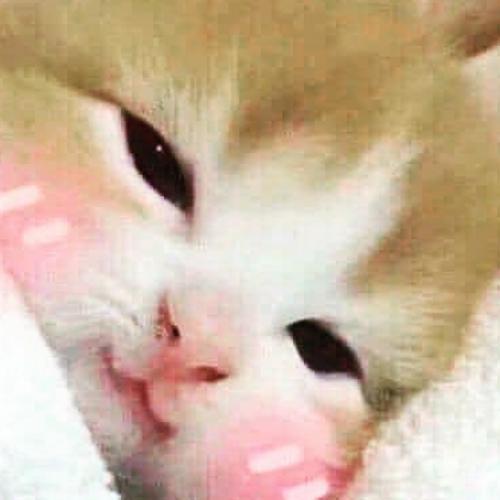 สมาชิกหมายเลข 4513632