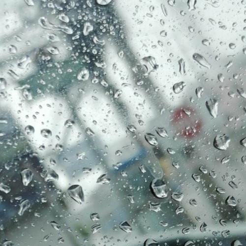 สมาชิกหมายเลข 6051161