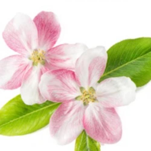 สมาชิกหมายเลข 6667761