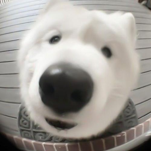 สมาชิกหมายเลข 7417530