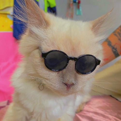 สมาชิกหมายเลข 2268470