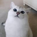 สมาชิกหมายเลข 3910356