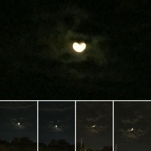 สมาชิกหมายเลข 4358786