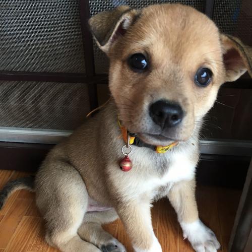 สมาชิกหมายเลข 2395689