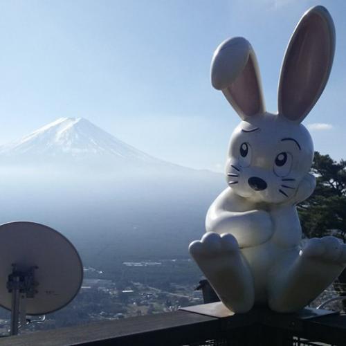 สมาชิกหมายเลข 1859625