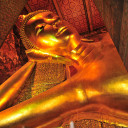 สมาชิกหมายเลข 5506417