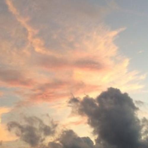 สมาชิกหมายเลข 4761298