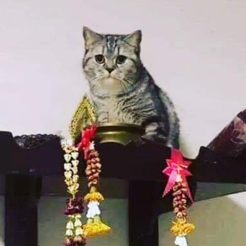 สมาชิกหมายเลข 6046170