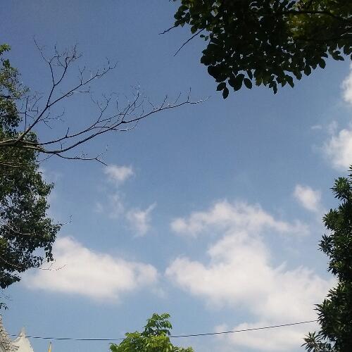 สมาชิกหมายเลข 6051751