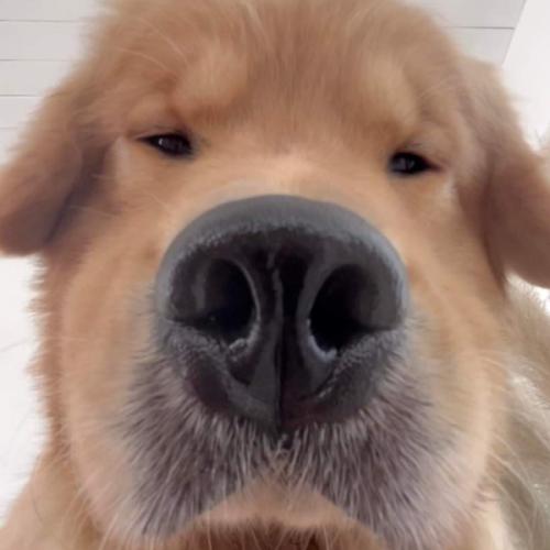 สมาชิกหมายเลข 2024075