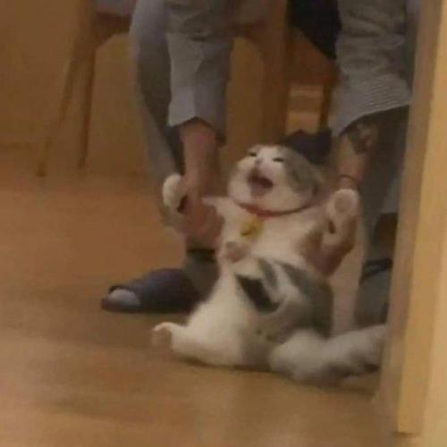 สมาชิกหมายเลข 4051273