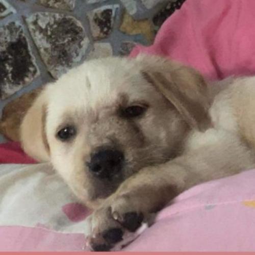 สมาชิกหมายเลข 5896837