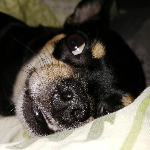 สมาชิกหมายเลข 5060345