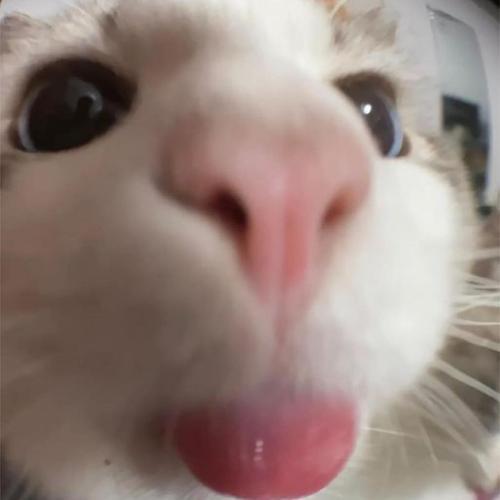 สมาชิกหมายเลข 6967129