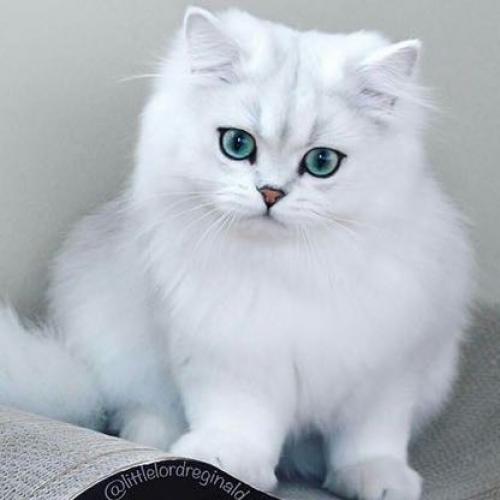 สมาชิกหมายเลข 3910670