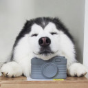 สมาชิกหมายเลข 5114666