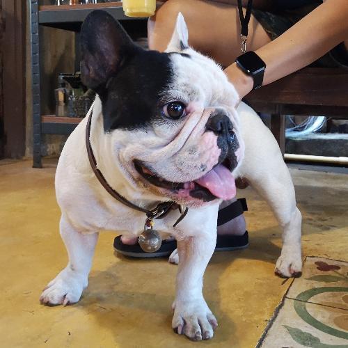 สมาชิกหมายเลข 2162403