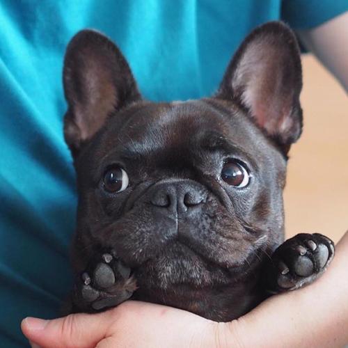 สมาชิกหมายเลข 2763102