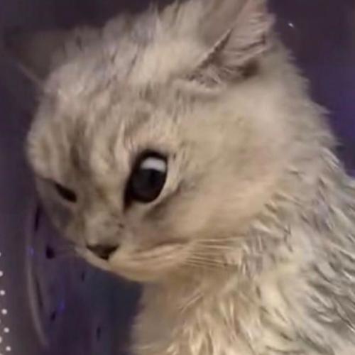 สมาชิกหมายเลข 6885935