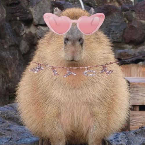 สมาชิกหมายเลข 7418898