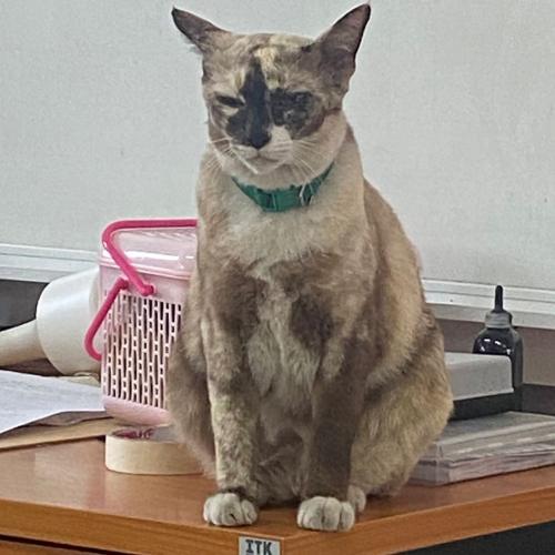 สมาชิกหมายเลข 7418976