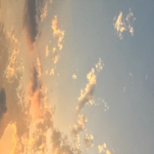 สมาชิกหมายเลข 7419133