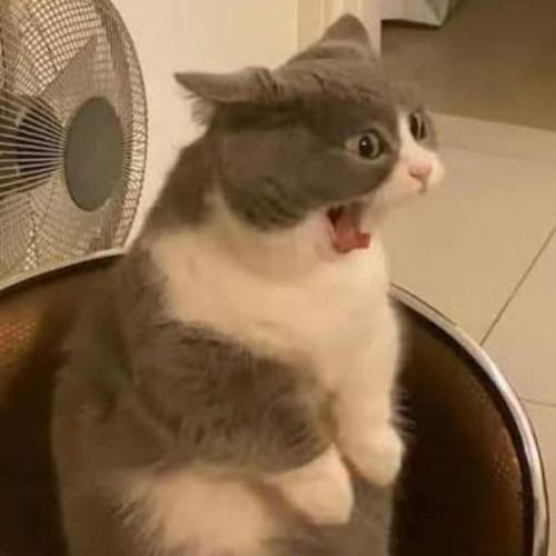 สมาชิกหมายเลข 7419297