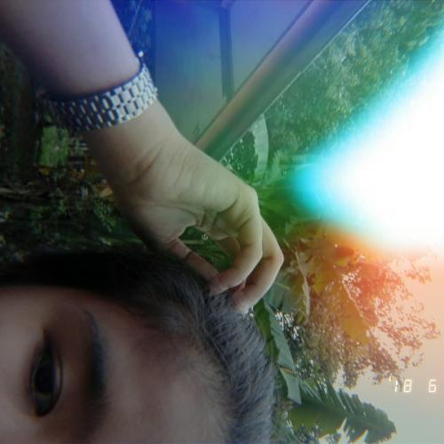 สมาชิกหมายเลข 4468299