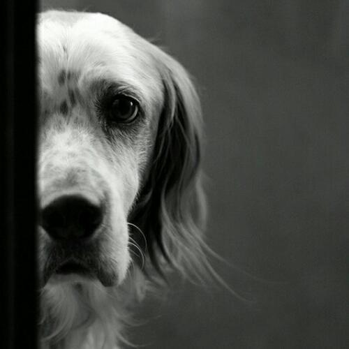 สมาชิกหมายเลข 4725364