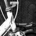 สมาชิกหมายเลข 4741180