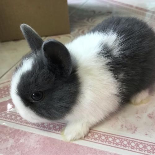 สมาชิกหมายเลข 2961646