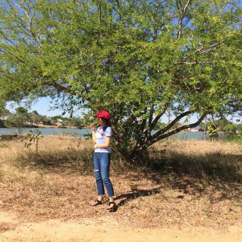 สมาชิกหมายเลข 4095646