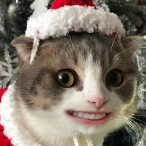 สมาชิกหมายเลข 5115189