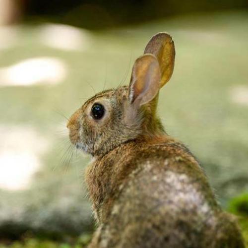 สมาชิกหมายเลข 5507591