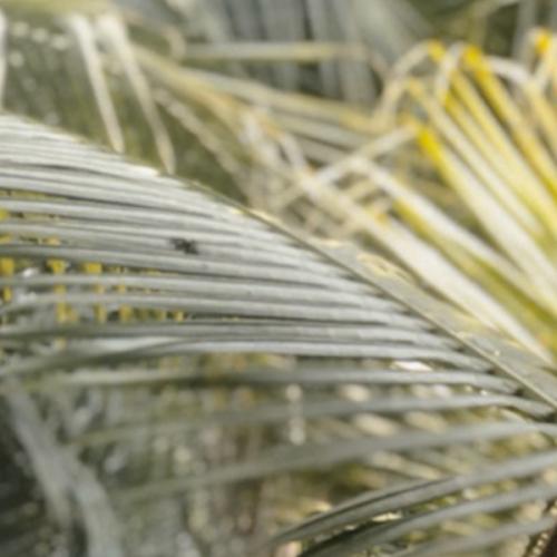 สมาชิกหมายเลข 1180133