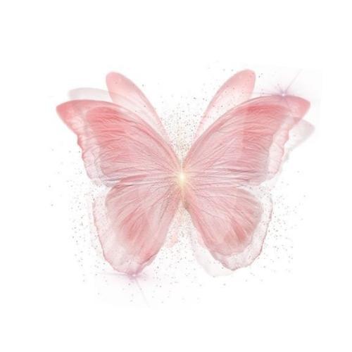 สมาชิกหมายเลข 7258881