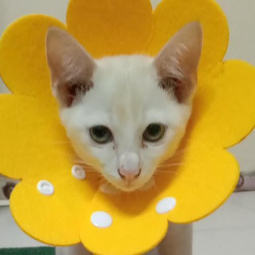 สมาชิกหมายเลข 8309968