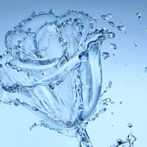 สมาชิกหมายเลข 4740140