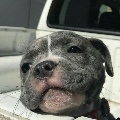 สมาชิกหมายเลข 5108541