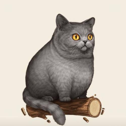 สมาชิกหมายเลข 6660503