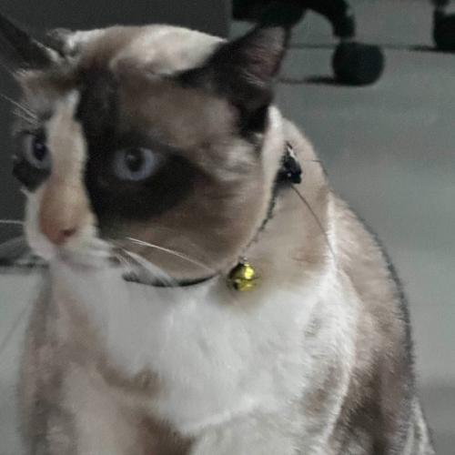 สมาชิกหมายเลข 8310609