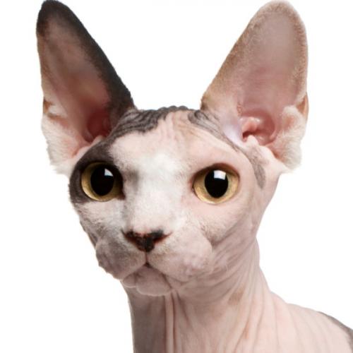 สมาชิกหมายเลข 8310970