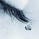 สมาชิกหมายเลข 4380965