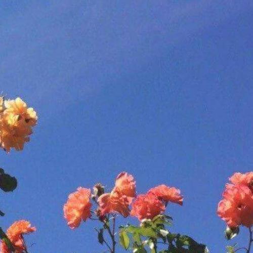 สมาชิกหมายเลข 3868004