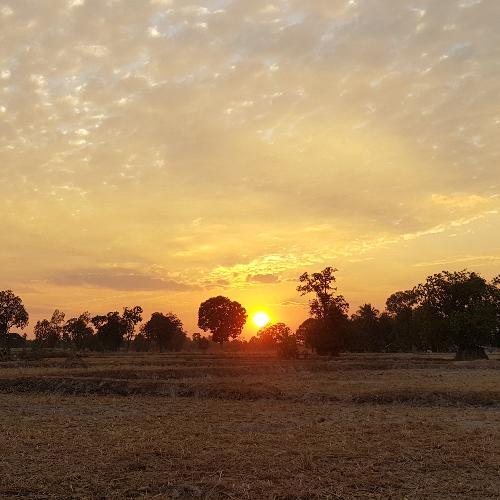 สมาชิกหมายเลข 4795020