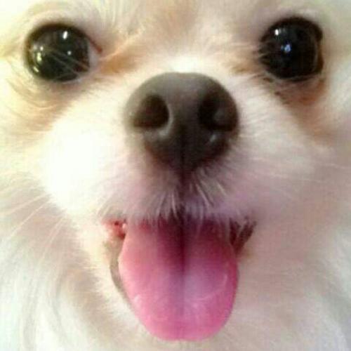 สมาชิกหมายเลข 5115728