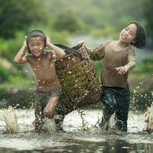 สมาชิกหมายเลข 2641113