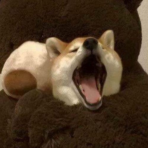 สมาชิกหมายเลข 3385502