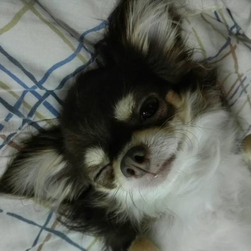 สมาชิกหมายเลข 5603366